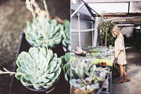 5 Unexpected Places to Find Wedding Inspiration
